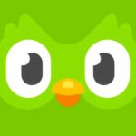 تحميل Duolingo للايفون مهكر